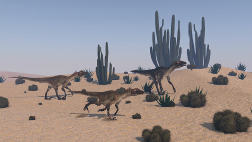 Utahraptors roaming a desert environment Poster Print - Item # VARPSTKVA600003P