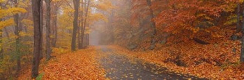 Monadnock Mountain  New Hampshire Poster Print by Panoramic Images (37 x 12) - Item # PPI12980