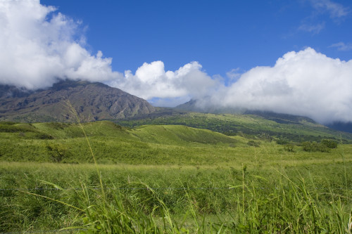 Hawaii, Maui, Haleakala, Kaupo Gap, Green And Calm On A Warm Day. PosterPrint - Item # VARDPI1988232