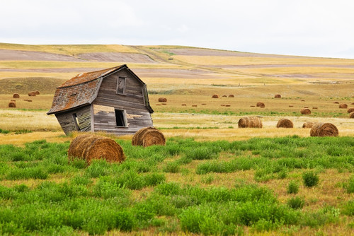 Twisted Barn On Canadian Prairie, Big Muddy Badlands, Saskatchewan PosterPrint - Item # VARDPI2031141