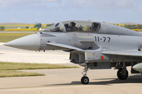 Close-up on the nose cone of a Eurofighter EF2000 Typhoon of the Spanish Air Force at Moron Air Base, Spain Poster Print - Item # VARPSTRCN100291M