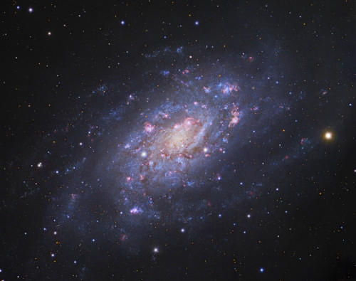 NGC 2403, a spiral galaxy in Camelopardalis Poster Print - Item # VARPSTGEN100124S