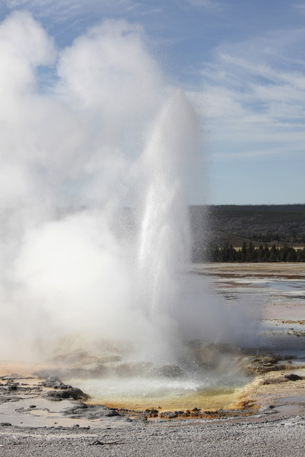 September 11, 2009 - Clepsydra Geyser erupting, Lower Geyser Basin geothermal area, Yellowstone Caldera, Yellowstone National Park, Wyoming. Poster Print - Item # VARPSTRRS300320S