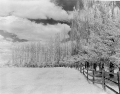 USA  Vermont  Snow covered field Poster Print - Item # VARSAL255424174