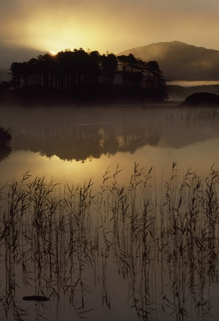 Lough Derryclare, Co Galway, Ireland; Sunset Casting Reflections On Lake PosterPrint - Item # VARDPI1836568