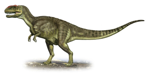 Yangchuanosaurus shangiouensis, a prehistoric era dinosaur from the Late Jurassic period Poster Print - Item # VARPSTSKR100087P