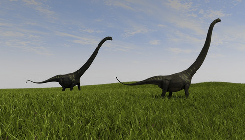 Two Mamenchisaurus walking across a grassy field Poster Print