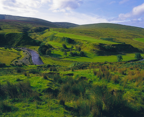 Glenelly Valley, Sperrin Mountains, Co Tyrone, Ireland PosterPrint - Item # VARDPI1802034