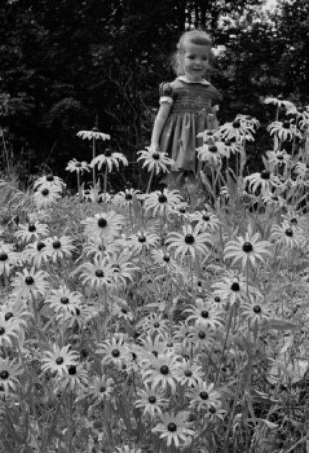 Girl picking up daises Poster Print