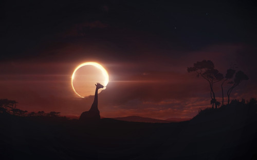 Solar eclipse over Africa Poster Print