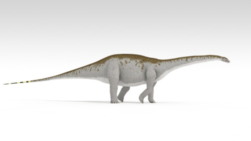 Apatosaurus dinosaur, white background Poster Print - Item # VARPSTKVA600710P