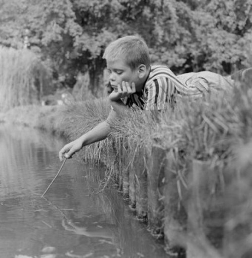 Boy lying in grass on bank of stream Poster Print - Item # VARSAL255422395