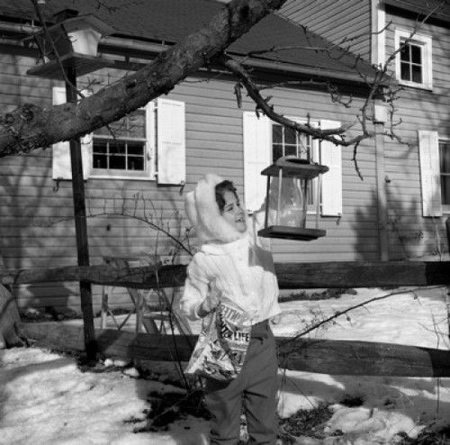 Girl putting food into birdhouse Poster Print - Item # VARSAL255416404