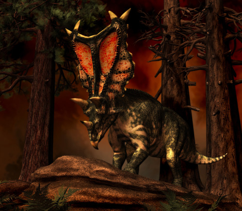 Chasmosaurus was a ceratopsid dinosaur from the Upper Cretaceous Period of North America Poster Print - Item # VARPSTPHB600012P