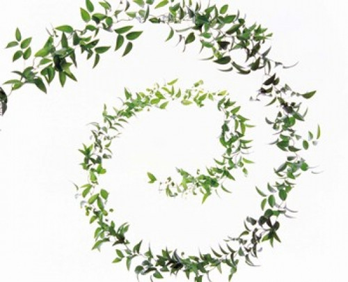 Spiral of Leaves against Background Poster Print by Panoramic Images (16 x 14) - Item # PPI126854