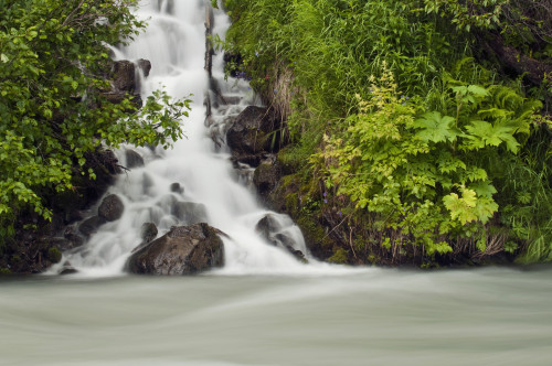 A Cascading Waterfall Flows Into Granite Creek, Turnagain Pass, Chugach National Forest, Summer PosterPrint - Item # VARDPI2139188