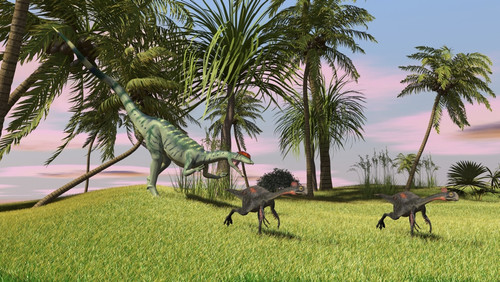 A Dilophosaurus chasing two Gigantoraptors across a grassy field Poster Print - Item # VARPSTKVA600232P