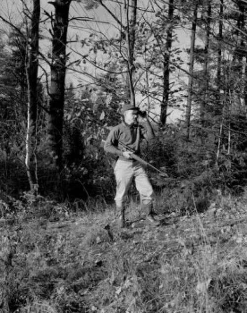 Hunter looking through binoculars Poster Print - Item # VARSAL255418693 Hunter looking through binoculars Poster Print - Item # VARSAL255418693