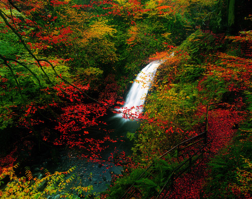 Glenoe Waterfall And Glen, Co Antrim, Ireland PosterPrint