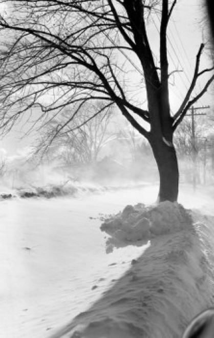 Winter landscape Poster Print - Item # VARSAL255416577