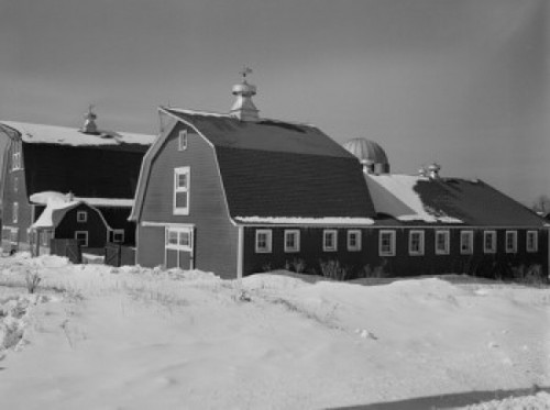 Farm buildings on dairy farm Poster Print - Item # VARSAL255423843