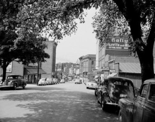 Cars parked in tree shadow on street Poster Print - Item # VARSAL255424679 Cars parked in tree shadow on street Poster Print - Item # VARSAL255424679