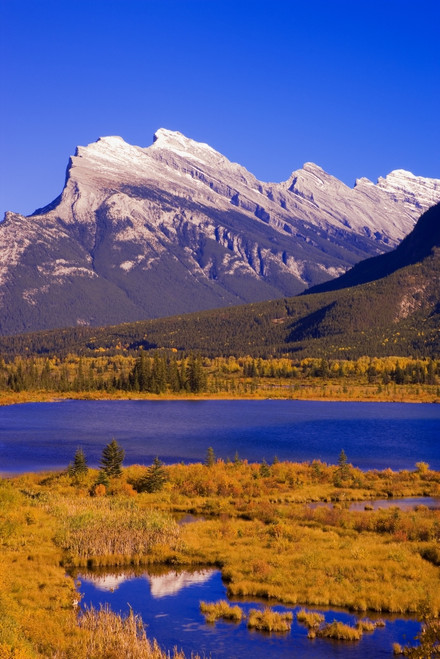 Vermilion Lakes And Mount Rundle In Banff National Park, Alberta, Canada PosterPrint - Item # VARDPI1794805