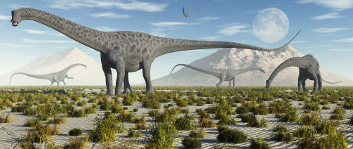 A herd of Diplodocus sauropod dinosaurs during Earth's Jurassic period Poster Print - Item # VARPSTMAS600070P