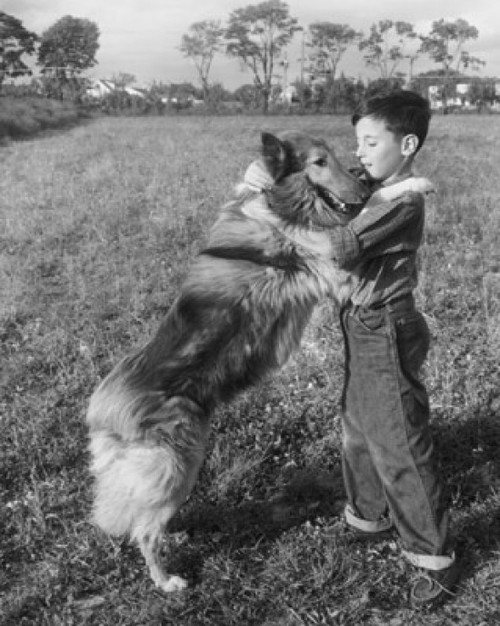 Side profile of boy playing with his dog Poster Print - Item # VARSAL25513587