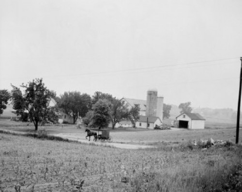 USA  Pennsylvania  Martindale  Amish farm country Poster Print - Item # VARSAL255422946