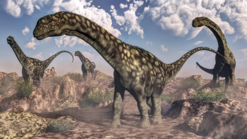 Argentinosaurus dinosaurs walking in the rocky desert Poster Print - Item # VARPSTEDV600292P
