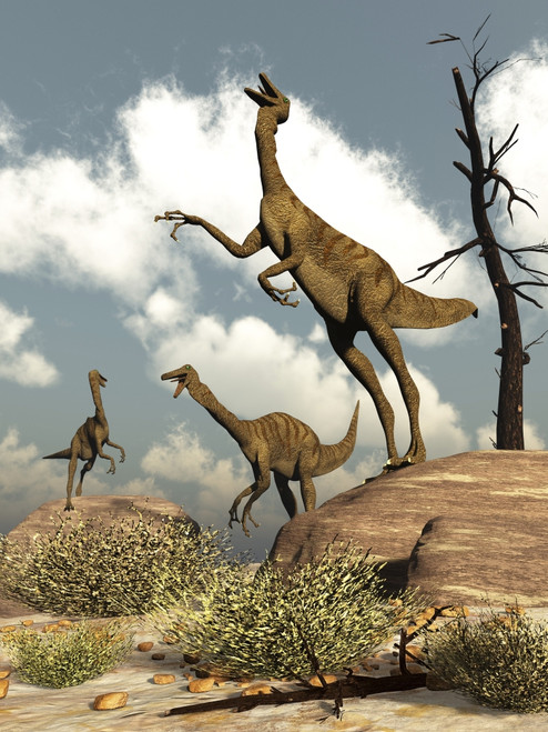 Herd of Gallimimus dinosaurs in the desert Poster Print - Item # VARPSTEDV600343P