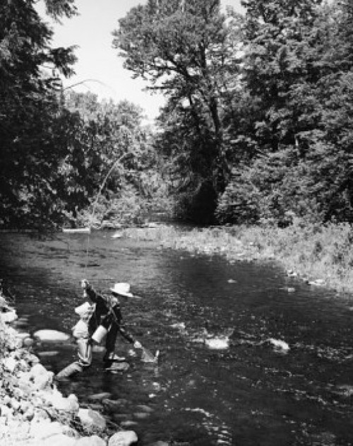 Mid adult man fly fishing in a stream Poster Print - Item # VARSAL25521231