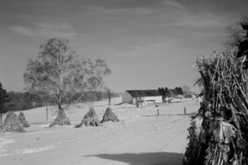 Pennsylvania  Paradise  Winter on farm Poster Print - Item # VARSAL255419581