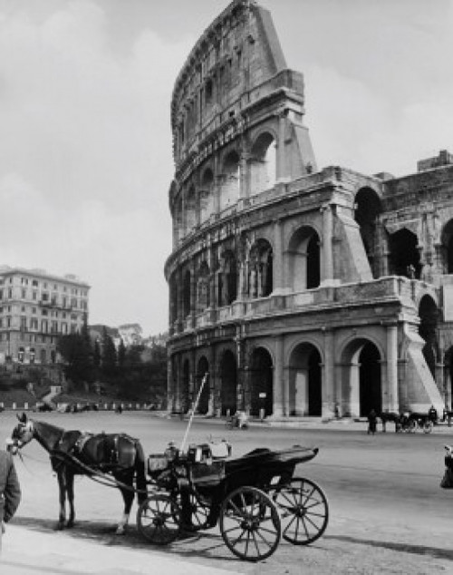 Colosseum  Rome  Italy Poster Print