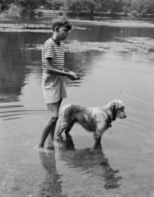 Boy and dog fishing in lake Poster Print - Item # VARSAL255422774