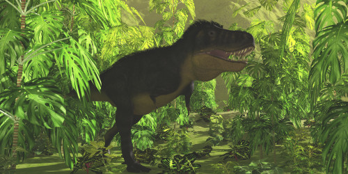 Thick jungle foliage hides a large Tyrannosaurus Rex dinosaur as he hunts for prey Poster Print - Item # VARPSTCFR200319P
