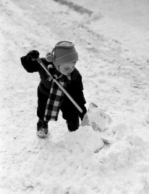 Boy shoveling snow Poster Print - Item # VARSAL255417000