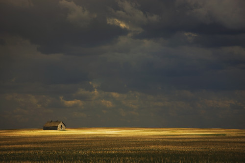 Tofield, Alberta, Canada; An Old Barn In A Field PosterPrint - Item # VARDPI1874727