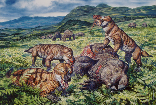 A group of carnivorous Cynognathus therapsids prey on a Placerias dicynodont during the Late Triassic of Africa Poster Print - Item # VARPSTMRH600005P