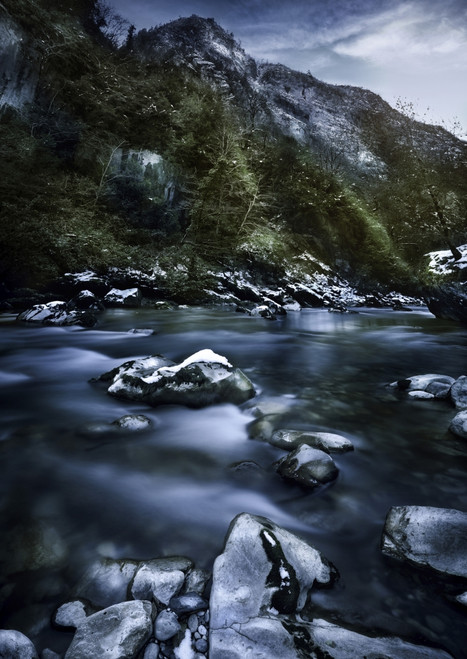 A river in a forest, Ritsa Nature Reserve, Abkhazia, Georgia. Poster Print - Item # VARPSTEVK200181S