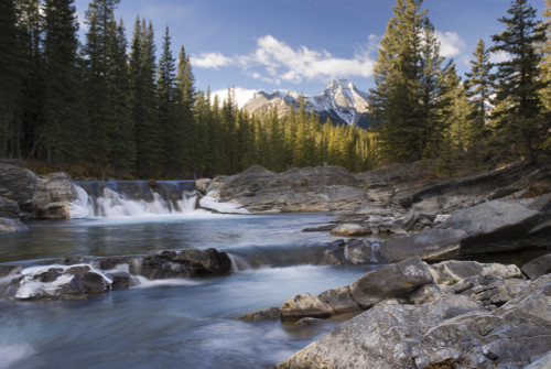 Waterfall On Sheep River; Kananaskis, Alberta, Canada PosterPrint - Item # VARDPI1842842