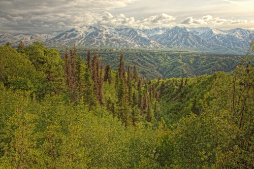 The Alsek Mountains Along The Haines Highway, Yukon PosterPrint - Item # VARDPI2039308