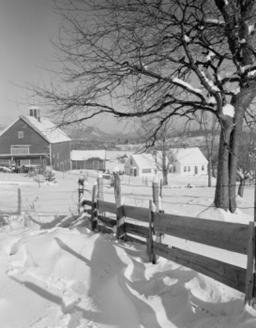 USA  New Hampshire  Lancaster  farm buildings with tree and plank fence Poster Print - Item # VARSAL255423995