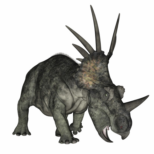Styracosaurus dinosaur, white background Poster Print - Item # VARPSTEDV600209P