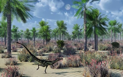 A Dilong dinosaur, the smallest member of the tyrannosaurid family Poster Print - Item # VARPSTMAS100587P