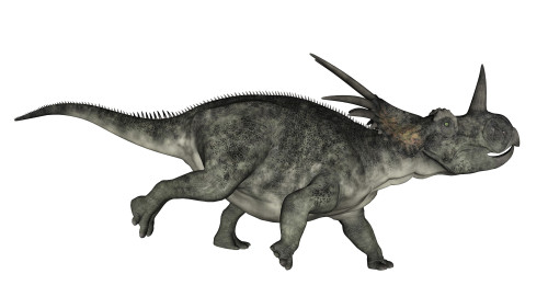Styracosaurus dinosaur running, white background Poster Print - Item # VARPSTEDV600211P