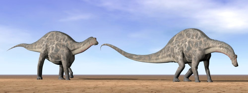 Two Dicraeosaurus dinosaurs walking in the desert by daylight Poster Print - Item # VARPSTEDV600023P