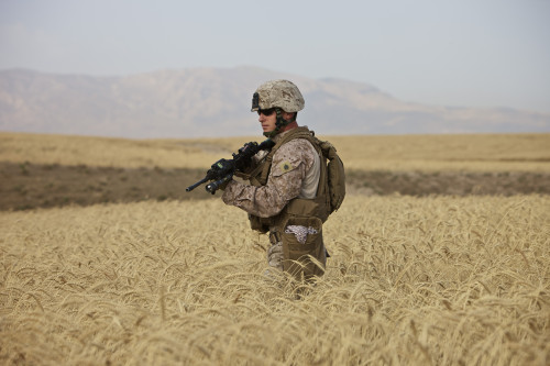 U.S. Marine patrols a wadi near Konduz, Afghanistan clearing it for a range exercise Poster Print - Item # VARPSTTMO100295M