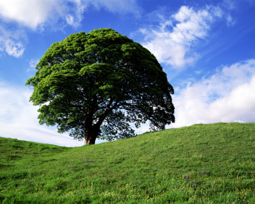 Giant's Ring, Belfast, Ireland PosterPrint - Item # VARDPI1797535